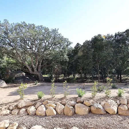 Stephi - Superbe T2 Acces Plage, Piscine Chauffee Lejlighed Pianottoli-Caldarello (Corsica)