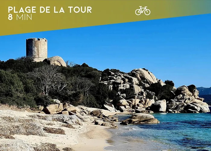 Stephi - Superbe T2 Acces Plage, Piscine Chauffee Pianottoli-Caldarello (Corsica)